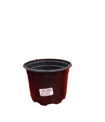 TARRO THERMOFORM 6 TERRACOTA