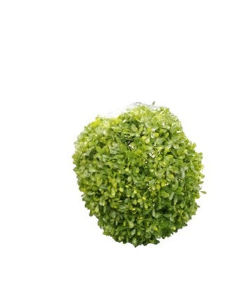 BOLA DE HOJITA  R0391-12