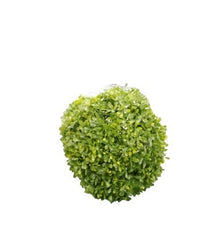 BOLA DE HOJITA  R0391-12