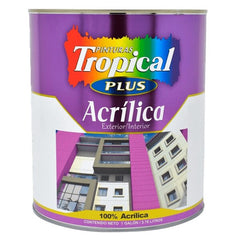 PINT.TROP.PLUS ACRIL. BLCO PIEDRA 96GL